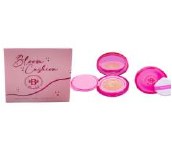 Base Cushion Bloomshell BL-FC1152